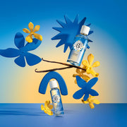 V3HA7FE38D7D8F95D10FEA80C34C834E6C2R5672944P3