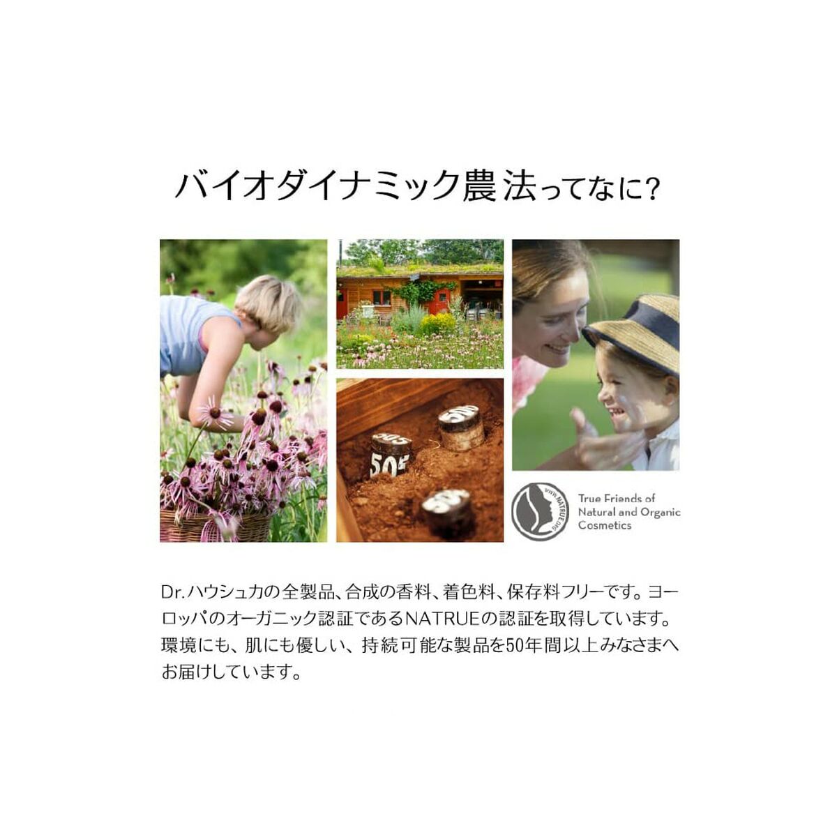 V2H2850815121C9FD9438337F3E5E2FF4B6R7005510P4