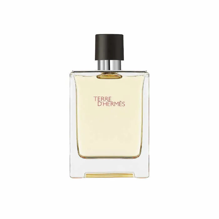 Terre D'Hermes EDT 100 ml