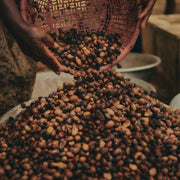 V6H97A6C59813DCFD5AAEC605D40B241AD2R4413001P3