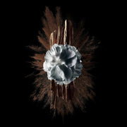 V5HD57BFFBA2AA917DD3D6BAA465CAA4794R5397790P5