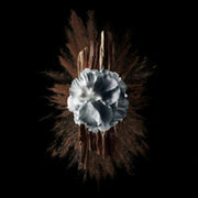 V5HBA43BAF822A621889D919D3E077064D9R5397791P6