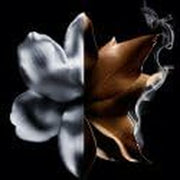 V3HB551176E9735A398D9C45A87597EAFFER6239984P6