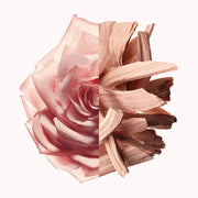 V6H1C88ADB70B7F914E1FF9F0A5FA438955R5674675P2