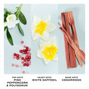 V4HC01E0E28DA16BBAB6ABCE9FF2960174AR7137004P3