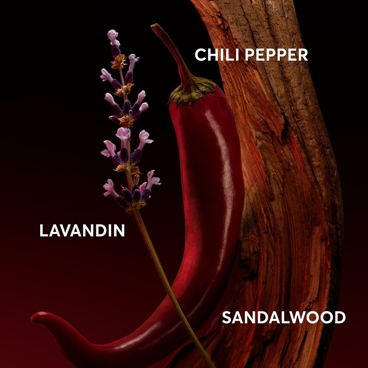 V5H44587E1C671DA8867BC70FC9E9E5F720R5856828P3