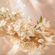 V4H54F572DE62BB01FC2501F01842C4DA2AR7415527P3