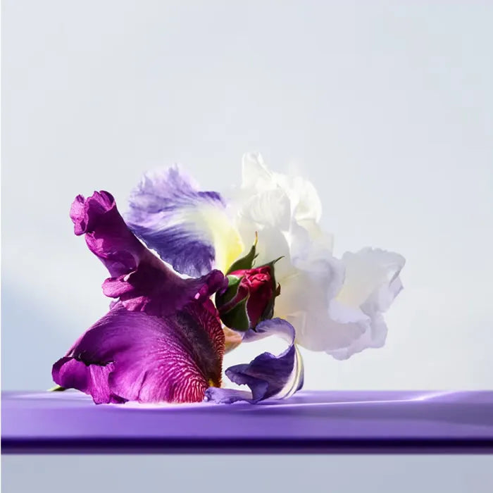 Onmia Amethyste EDT 50ml