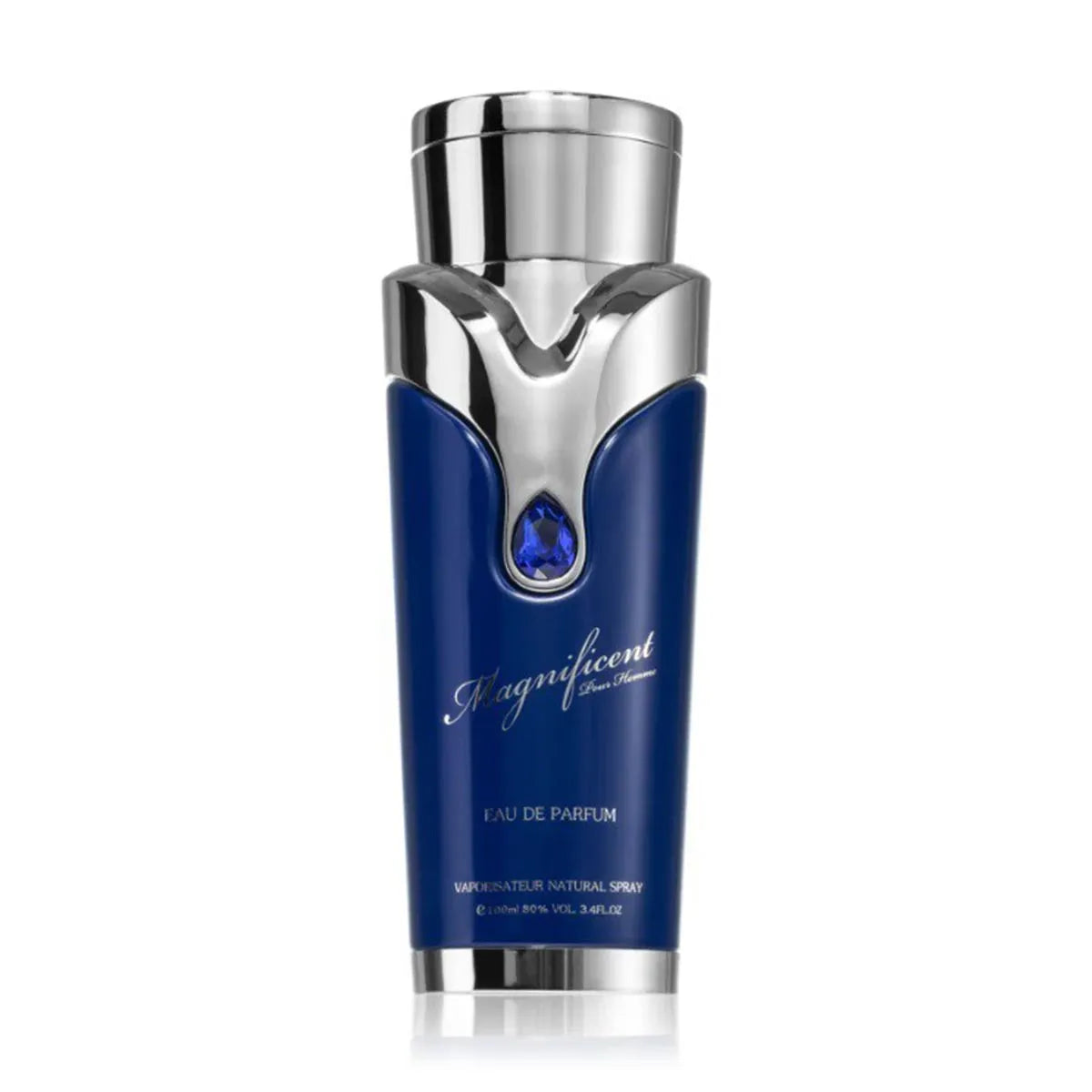 Magnificent Pour Homme EDP 100ml