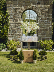 The Ultimate Gift- Tea Rose Luxury Gift Box