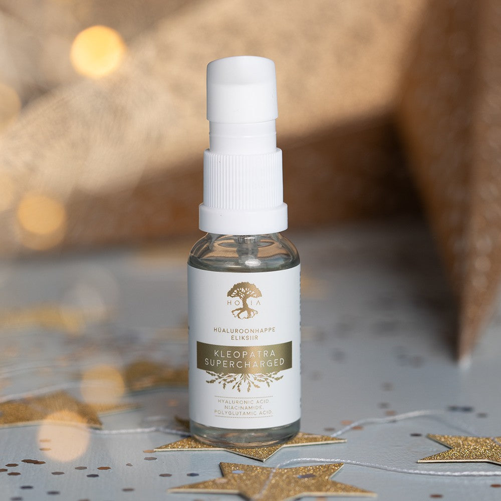 HOIA Advent Calendar 2025